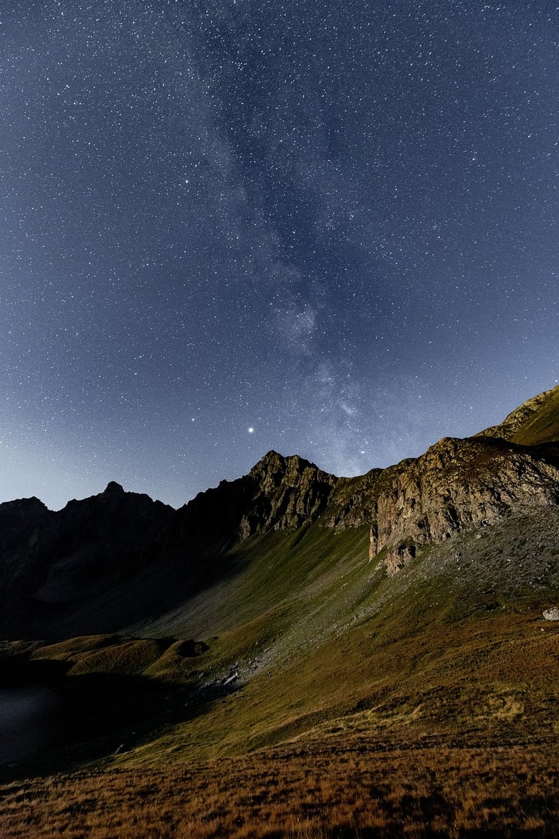 Starry Serenades